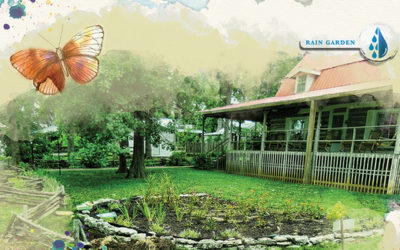 Rain Gardens are Beautiful and Functional